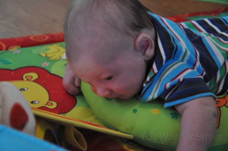 William's Fifth Week 03.jpg